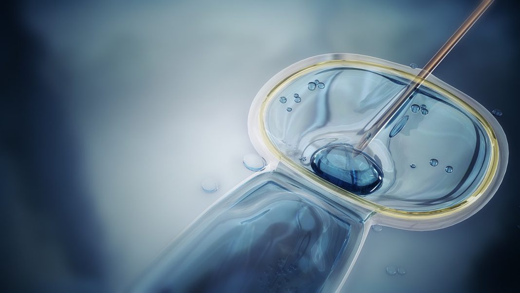 Çocuk Sahibi Olma Hayali: Türkiye’de İnfertilite Tedavi Yöntemleri (2025 Rehberi)